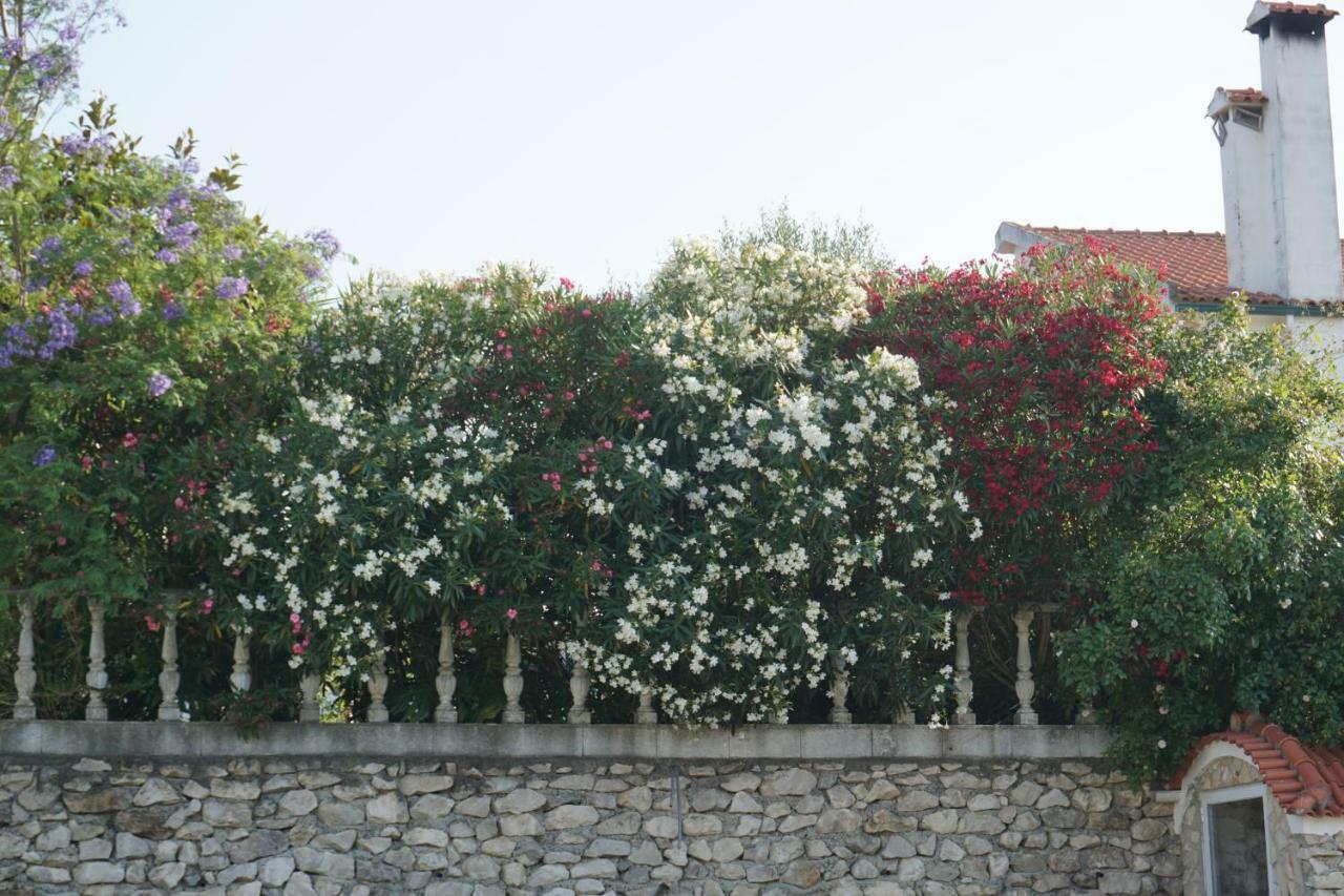 Quinta Das Camelias Tremes Dış mekan fotoğraf